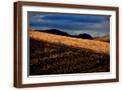 Brown Frame