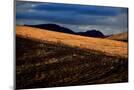 Wood Mount