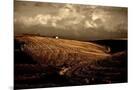 Wood Mount