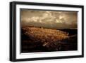 Black Frame