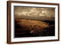 Brown Frame
