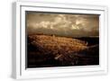 White Frame