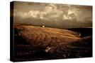 Stretched Canvas