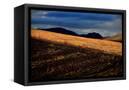 Canvas Black