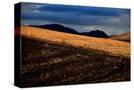 Stretched Canvas