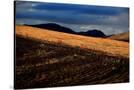 Stretched Canvas