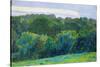 Landscape, Somerset, 1917 (Oil on Canvas)-Harold Gilman-Stretched Canvas