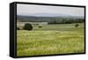 Landscape, Southern Burgenland, Austria-Rainer Schoditsch-Framed Stretched Canvas