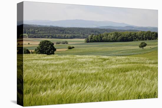 Landscape, Southern Burgenland, Austria-Rainer Schoditsch-Stretched Canvas