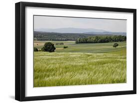 Landscape, Southern Burgenland, Austria-Rainer Schoditsch-Framed Photographic Print