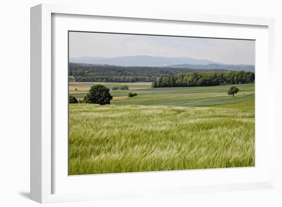 Landscape, Southern Burgenland, Austria-Rainer Schoditsch-Framed Photographic Print