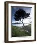 Landscape, Tierra Del Fuego National Park, Argentina, South America-Colin Brynn-Framed Photographic Print