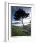 Landscape, Tierra Del Fuego National Park, Argentina, South America-Colin Brynn-Framed Photographic Print