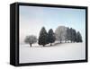 Landscape, Trees, Winter-Herbert Kehrer-Framed Stretched Canvas