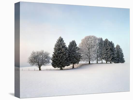 Landscape, Trees, Winter-Herbert Kehrer-Stretched Canvas