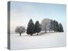 Landscape, Trees, Winter-Herbert Kehrer-Stretched Canvas