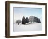 Landscape, Trees, Winter-Herbert Kehrer-Framed Photographic Print