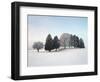 Landscape, Trees, Winter-Herbert Kehrer-Framed Photographic Print