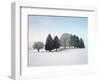 Landscape, Trees, Winter-Herbert Kehrer-Framed Photographic Print