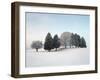 Landscape, Trees, Winter-Herbert Kehrer-Framed Photographic Print