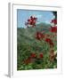 Landscape, Trinidad, West Indies, Caribbean, Central America-Woolfitt Adam-Framed Photographic Print