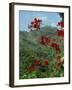 Landscape, Trinidad, West Indies, Caribbean, Central America-Woolfitt Adam-Framed Photographic Print