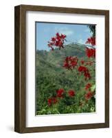 Landscape, Trinidad, West Indies, Caribbean, Central America-Woolfitt Adam-Framed Photographic Print