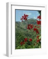 Landscape, Trinidad, West Indies, Caribbean, Central America-Woolfitt Adam-Framed Photographic Print