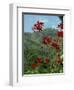 Landscape, Trinidad, West Indies, Caribbean, Central America-Woolfitt Adam-Framed Photographic Print