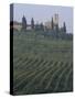 Landscape, Tuscany, Italy-Roy Rainford-Stretched Canvas