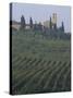 Landscape, Tuscany, Italy-Roy Rainford-Stretched Canvas