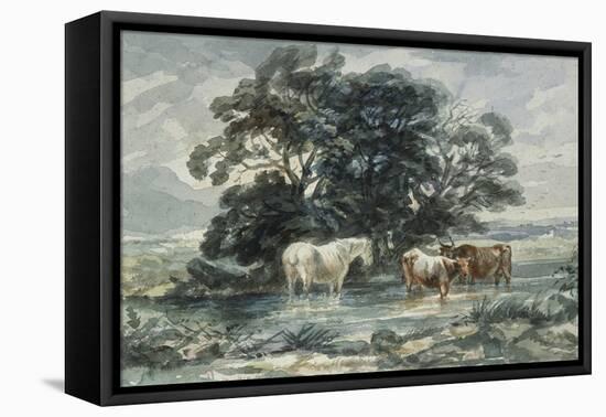Landscape, Two Cows and a Horse Standing in Water, (Sketch)-John Barker-Framed Stretched Canvas