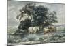 Landscape, Two Cows and a Horse Standing in Water, (Sketch)-John Barker-Mounted Giclee Print