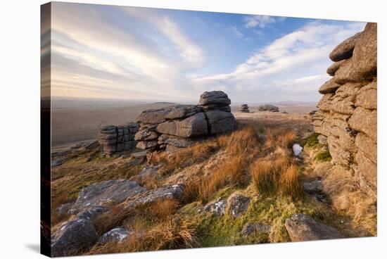 Landscape view from Great Mis Tor, Dartmoor, Devon, UK-Ross Hoddinott / 2020VISION-Stretched Canvas