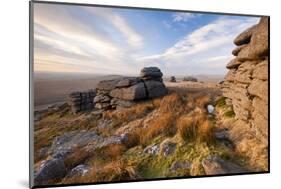 Landscape view from Great Mis Tor, Dartmoor, Devon, UK-Ross Hoddinott / 2020VISION-Mounted Photographic Print