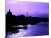 Landscape View of the River Seine and the Eiffel Tower at Sunset - Paris - France - Europe-Philippe Hugonnard-Mounted Photographic Print