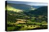 landscape Wales-Charles Bowman-Stretched Canvas