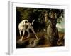 Landscape With a Dog And Partridges-Alexandre Francois Desportes-Framed Giclee Print