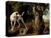 Landscape With a Dog And Partridges-Alexandre Francois Desportes-Stretched Canvas