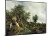 Landscape with a Hut, 1646-Jacob Isaaksz. Or Isaacksz. Van Ruisdael-Mounted Giclee Print