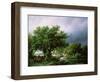 Landscape with a Mill-Barend Cornelis Koekkoek-Framed Giclee Print