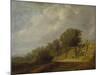 Landscape with a Path-Salomon van Ruysdael-Mounted Giclee Print