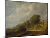 Landscape with a Path-Salomon van Ruysdael-Mounted Giclee Print