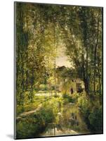 Landscape with a Sunlit Stream, c.1877-Charles Francois Daubigny-Mounted Giclee Print