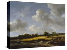 Landscape with a Wheatfield-Jacob Isaaksz or Isaacksz van Ruisdael-Stretched Canvas