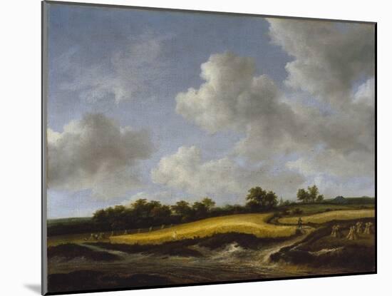 Landscape with a Wheatfield-Jacob Isaaksz or Isaacksz van Ruisdael-Mounted Giclee Print