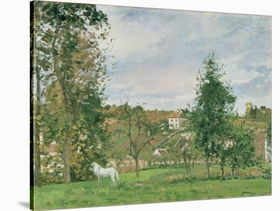 Landscape with a White Horse in a Field, L'Ermitage, 1872-Camille Pissarro-Stretched Canvas