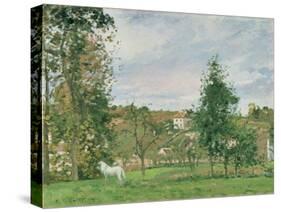 Landscape with a White Horse in a Field, L'Ermitage, 1872-Camille Pissarro-Stretched Canvas