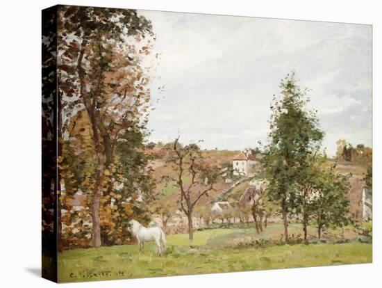 Landscape with a White Horse in Front of the Hermitage, 1872-Camille Pissarro-Stretched Canvas