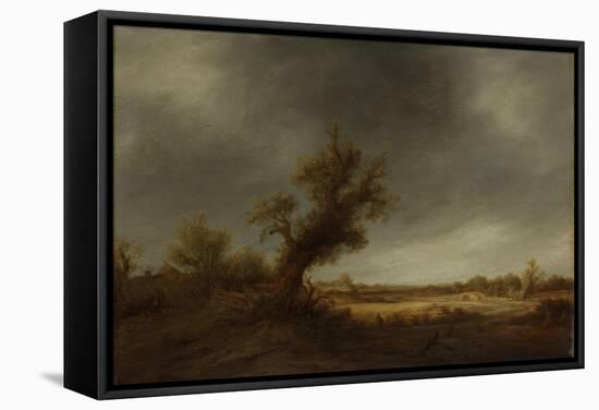 Landscape with an Old Oak-Adriaen Van Ostade-Framed Stretched Canvas